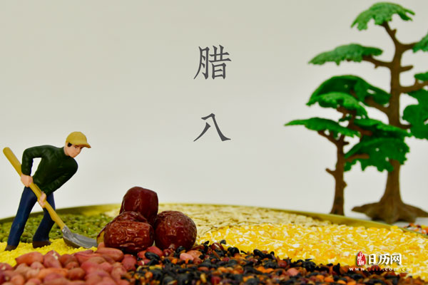 海德体育appV4.7专业版