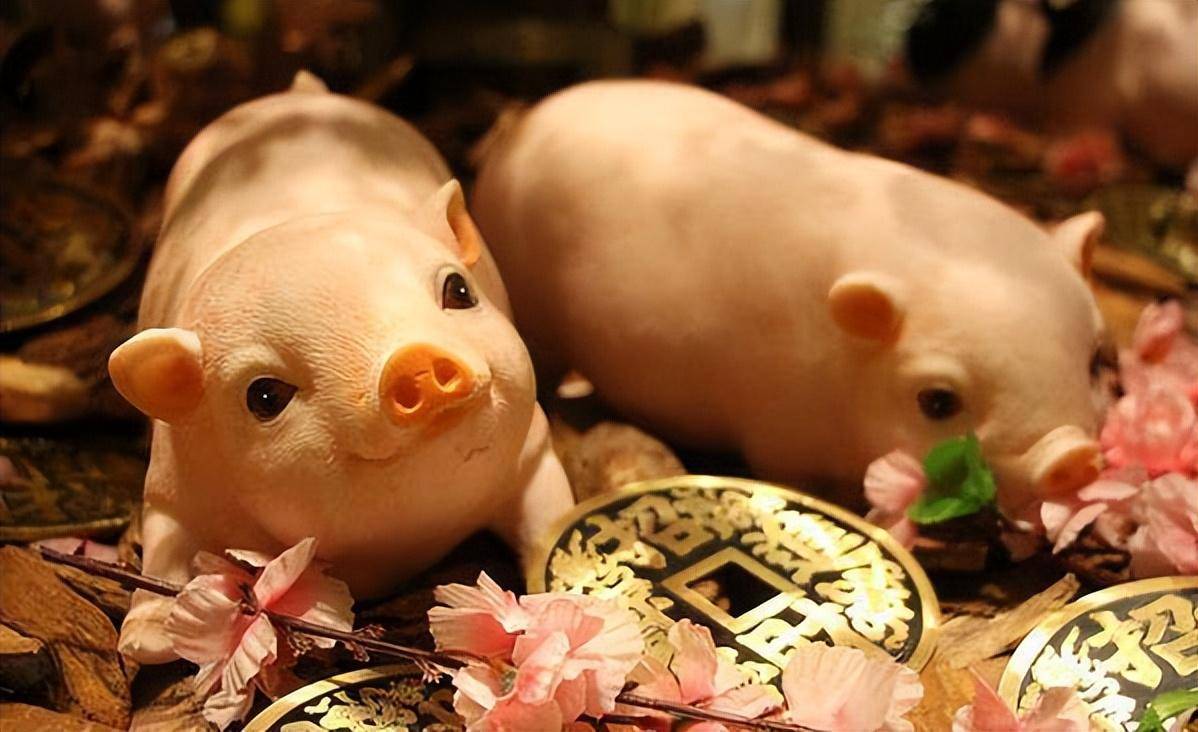 360极速浏览器电脑版安装包