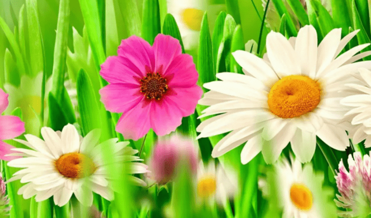 AG旗舰百家乐网页版安卓版二维码