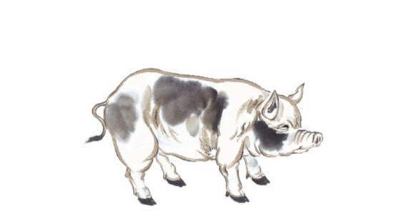 澳门十大网站appV2.6专业版