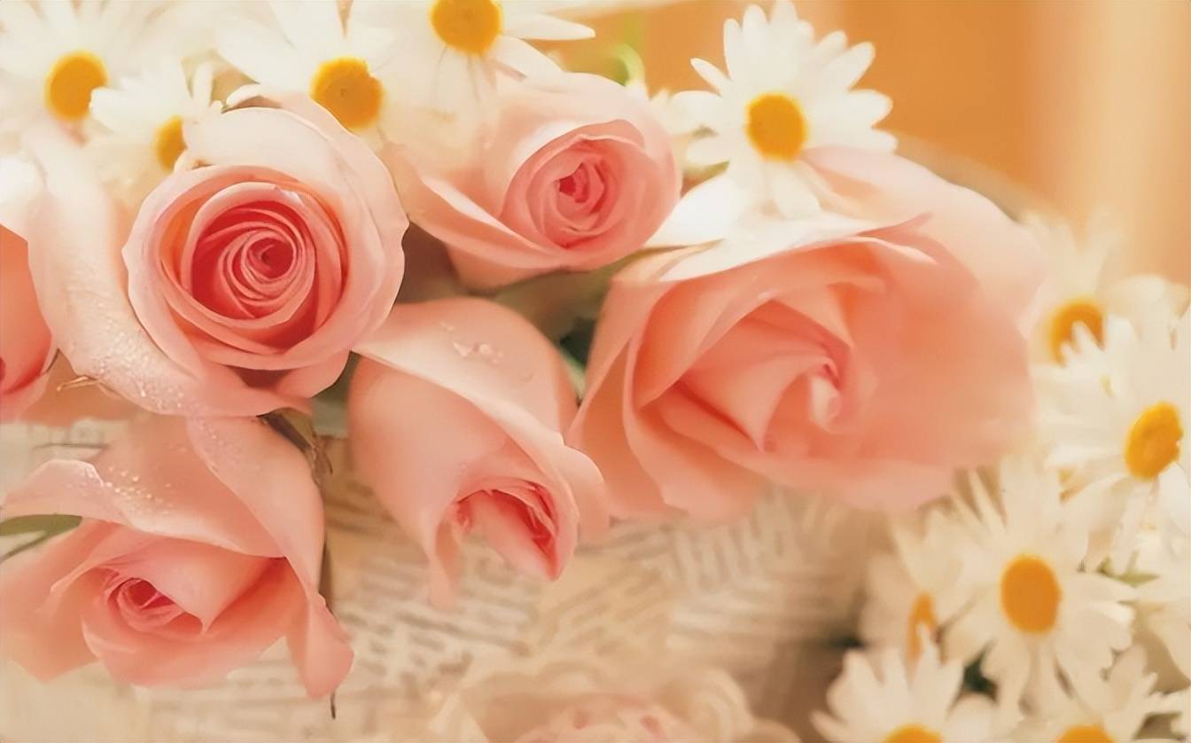 大发电子appV8.4专业版