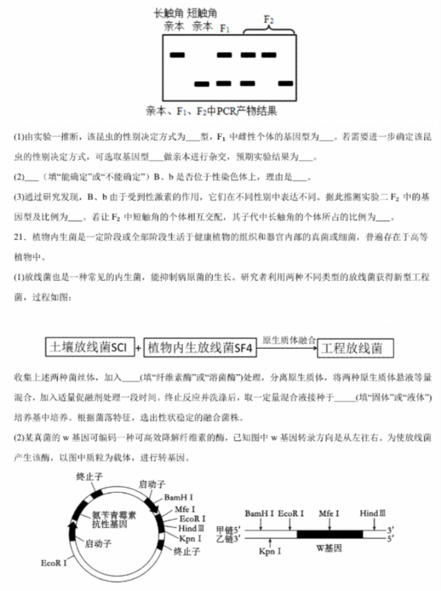 足球小将新秀崛起2025版本 必杀技特写演出