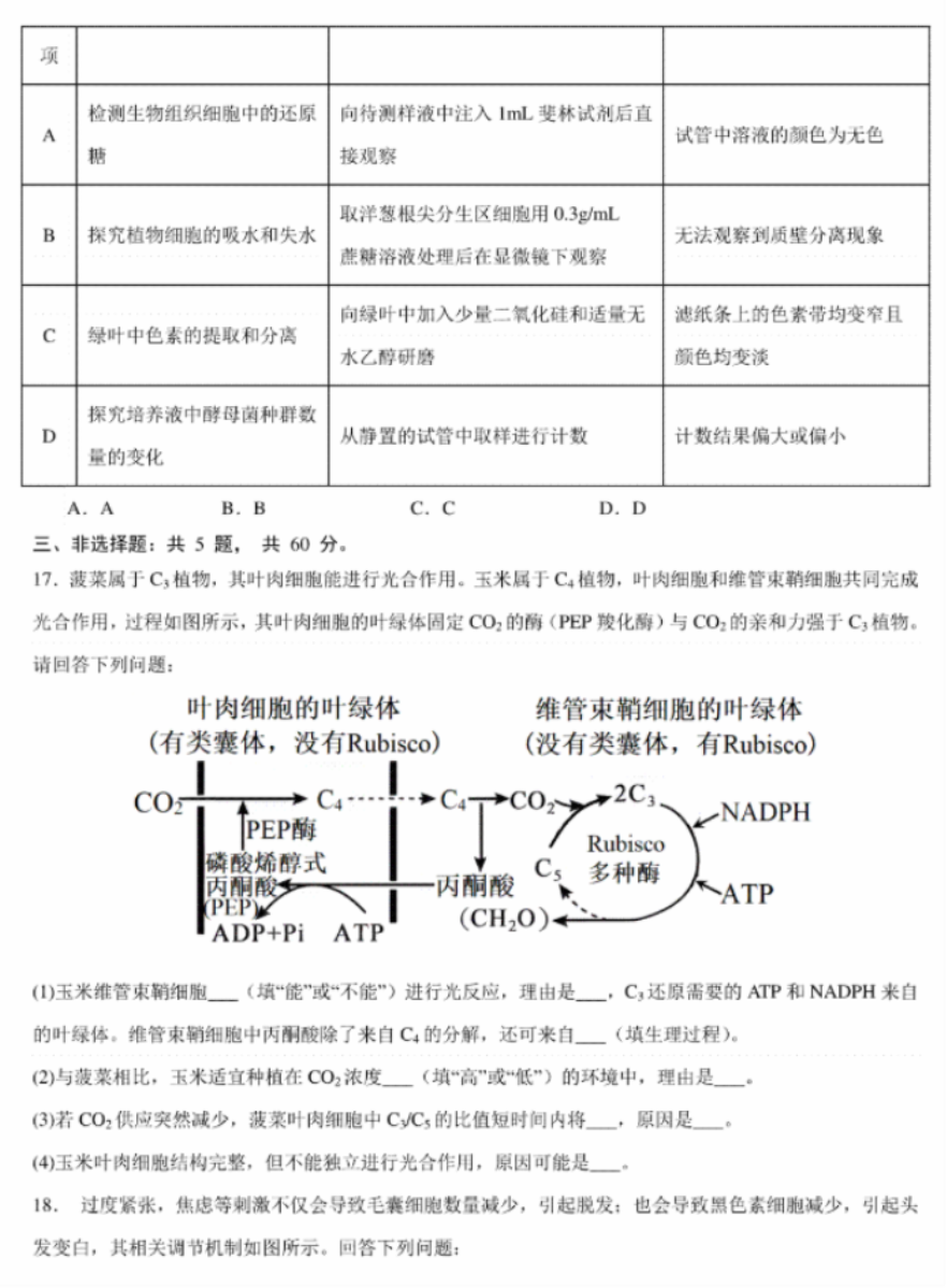 中国龙淡古体简体