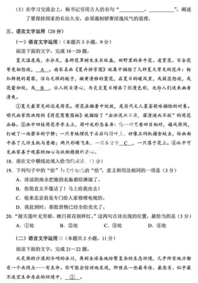 武斗苍穹