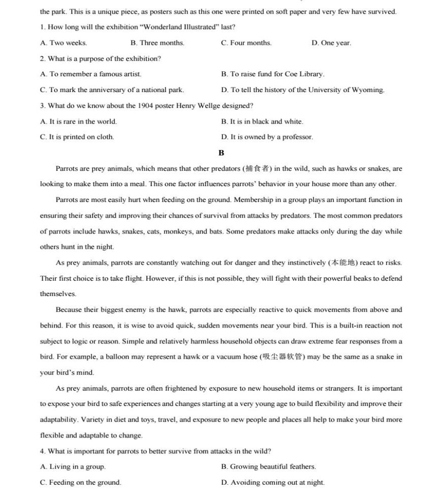 九卅bet9官网V9.1专业版