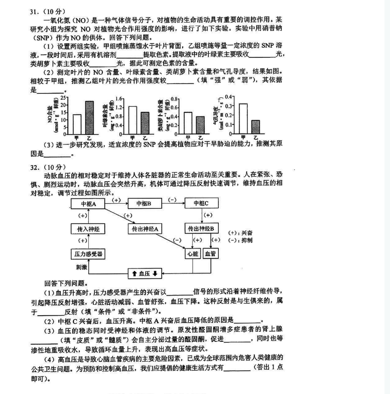 天辰网页版V4.1专业版