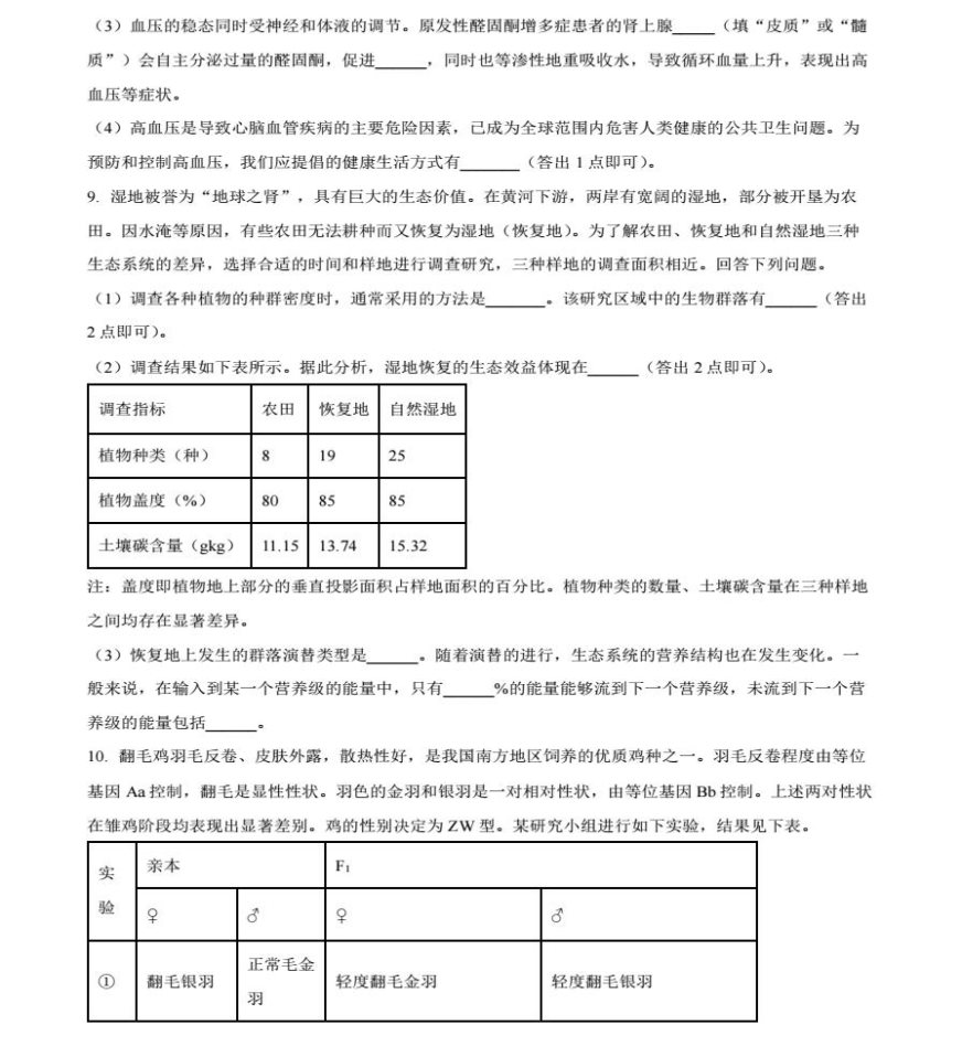 CBINappV9.7专业版
