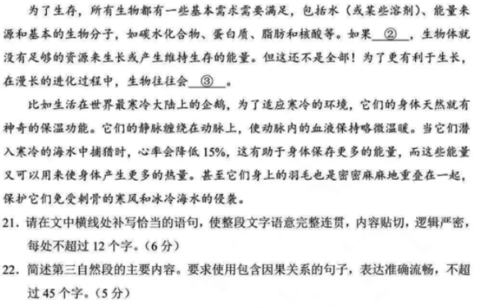 koko体育网页版V3.7专业版