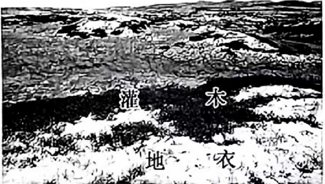 我的世界蒸汽煤矿小火车地图存档