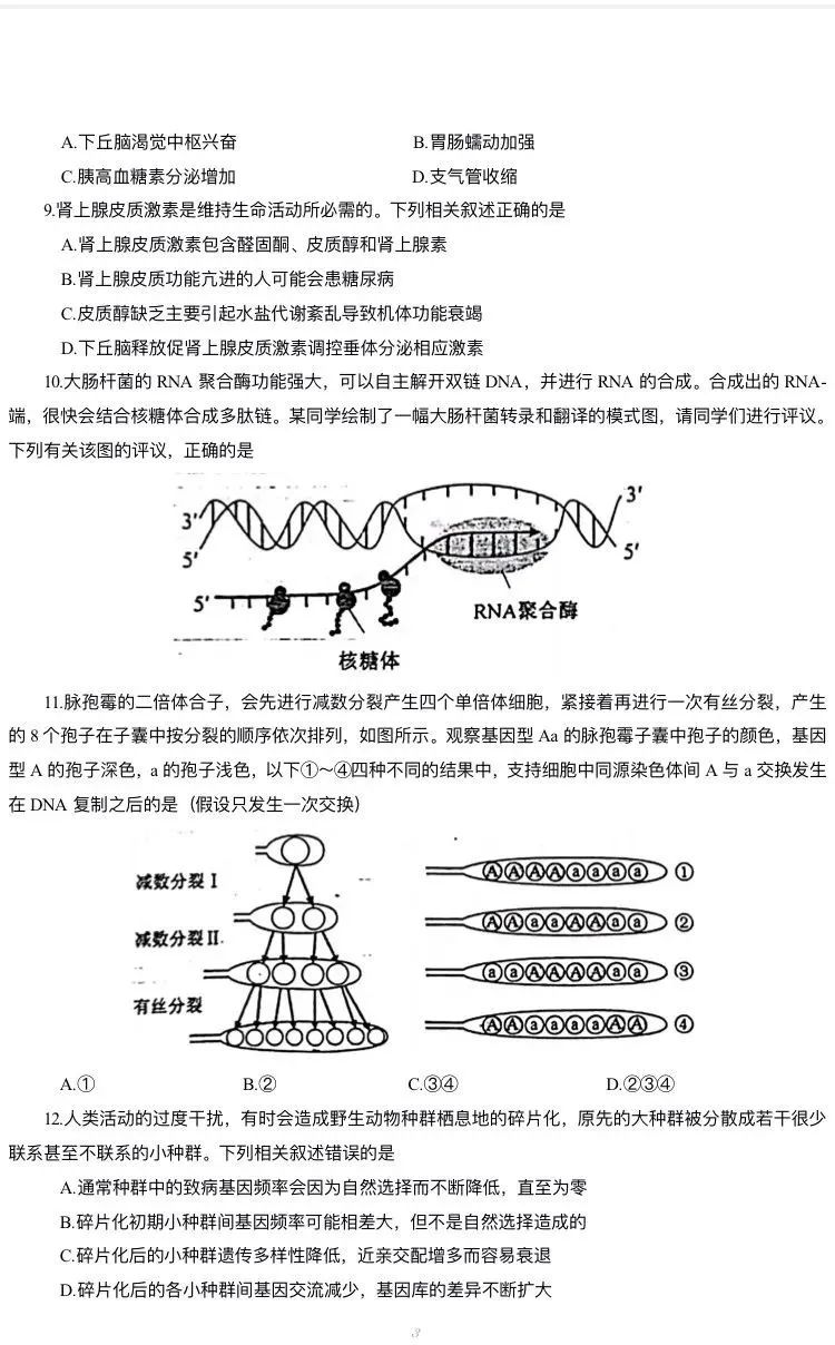 姜堰通