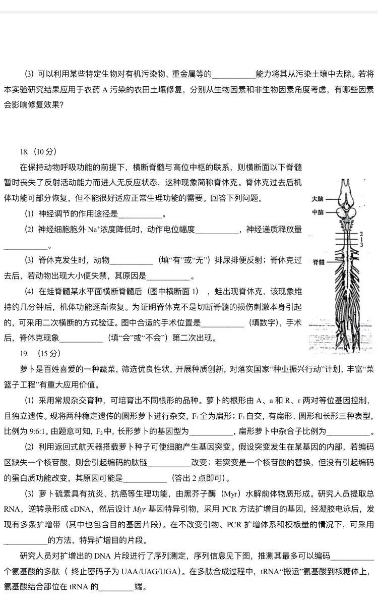 6886appV4.4专业版