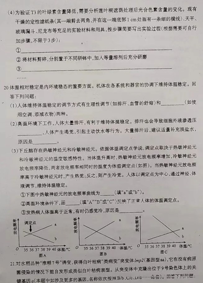 大幅面海报打印工具