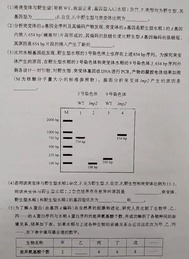 greenfoot(java开发环境)