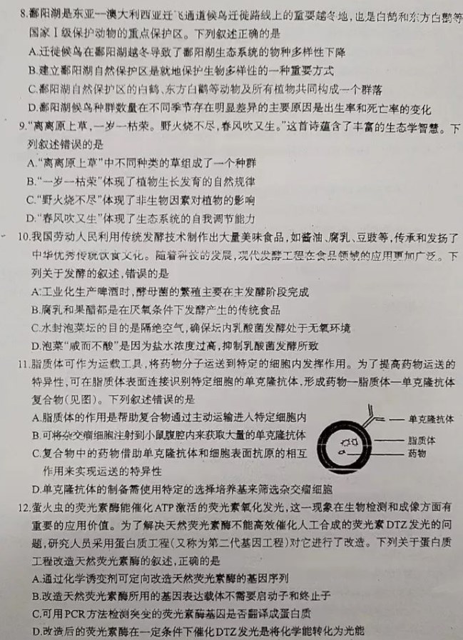 文鼎cs大隶书繁字体