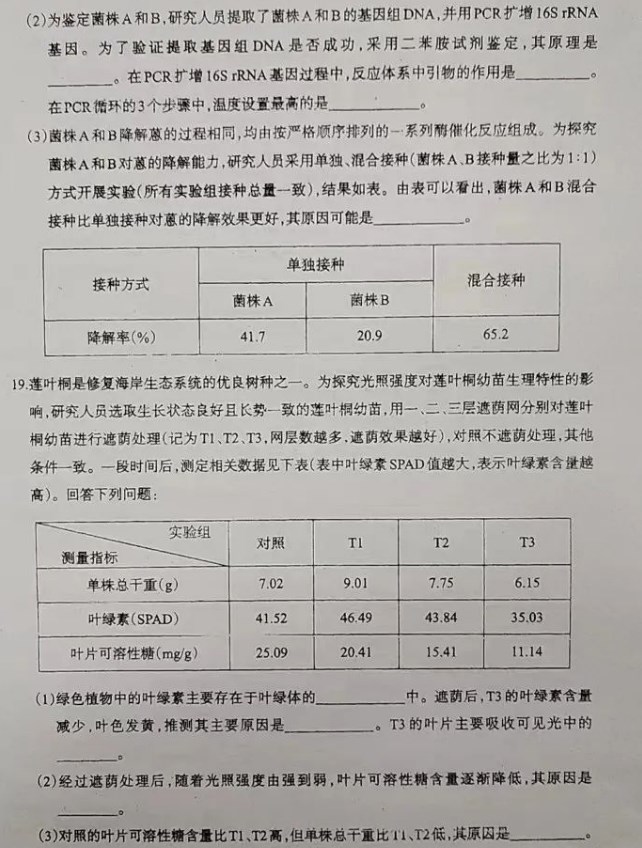 开云手机在线登陆官网