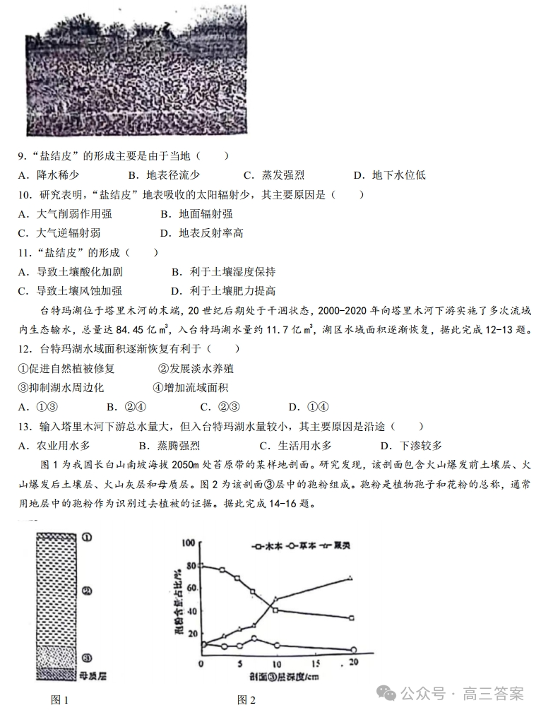 九龙快报手机版