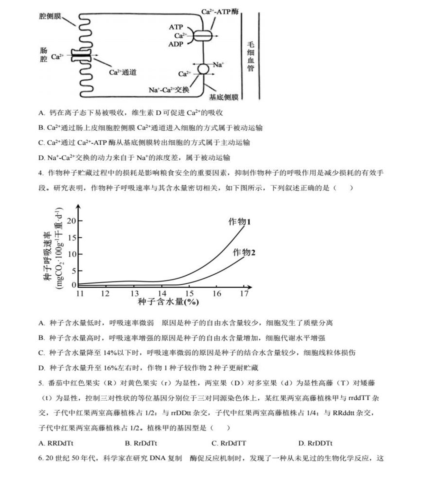 be体育app 2025最新版 卡组编辑界面