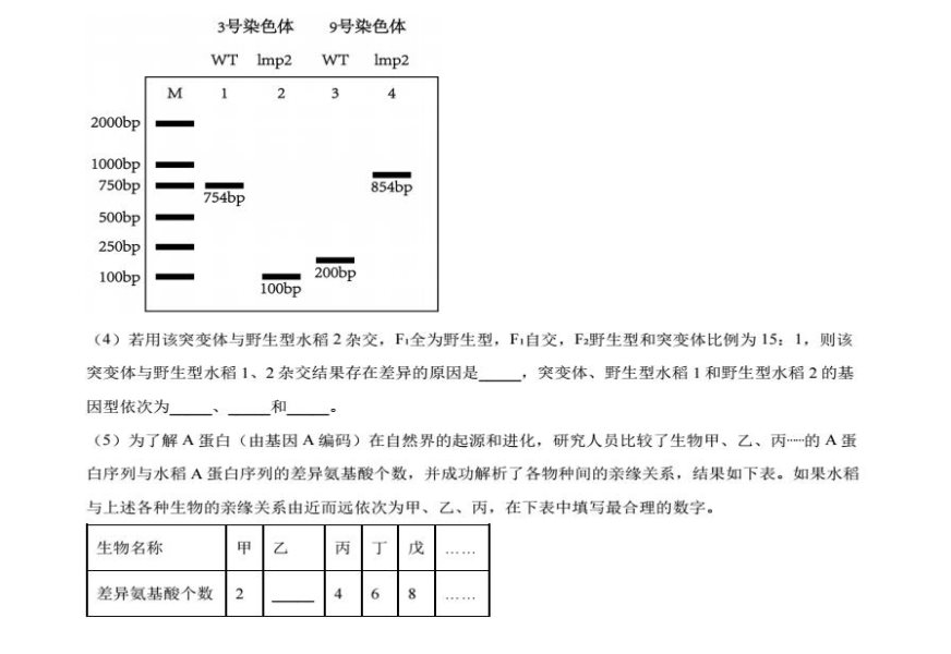 云开体育app官网登录网址2025最新版列车战斗界面