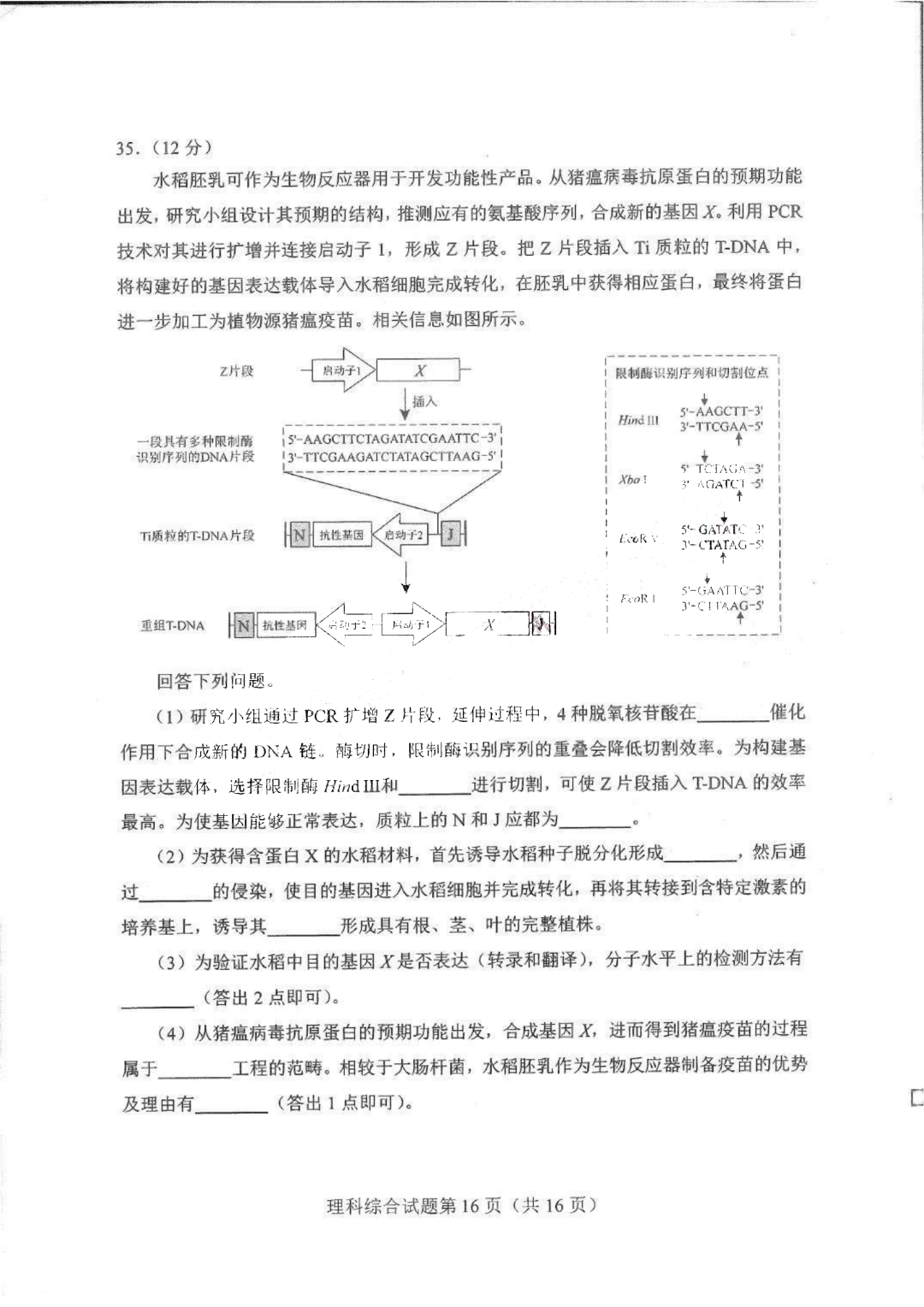 开云官方登录下载V9.1专业版