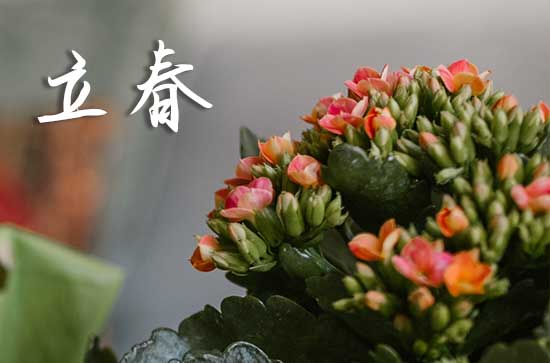 利博体育官网
