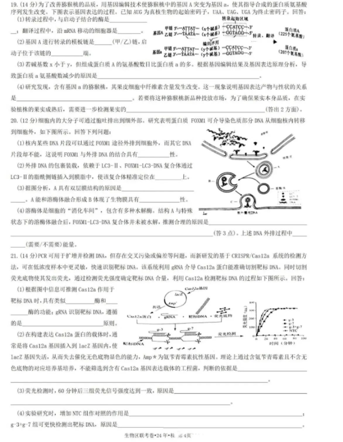 河南汽车维修平台APP