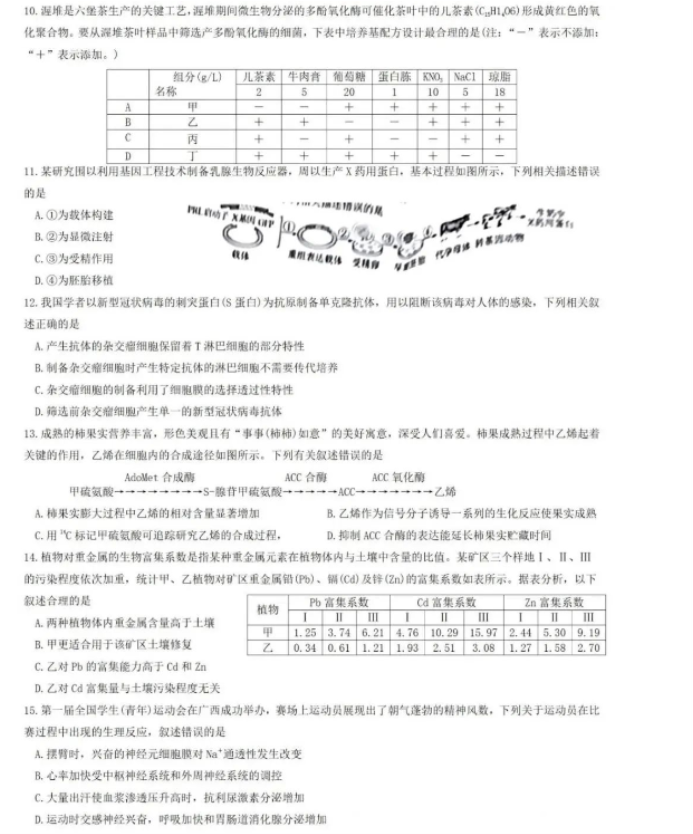 拯救小镇v4.3_魔兽生存地图
