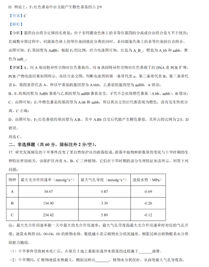 仙逆苍穹传游戏