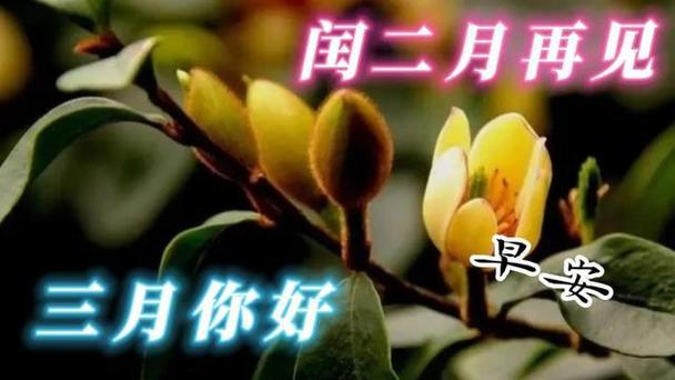 KUsportsAPP入口V4.3专业版