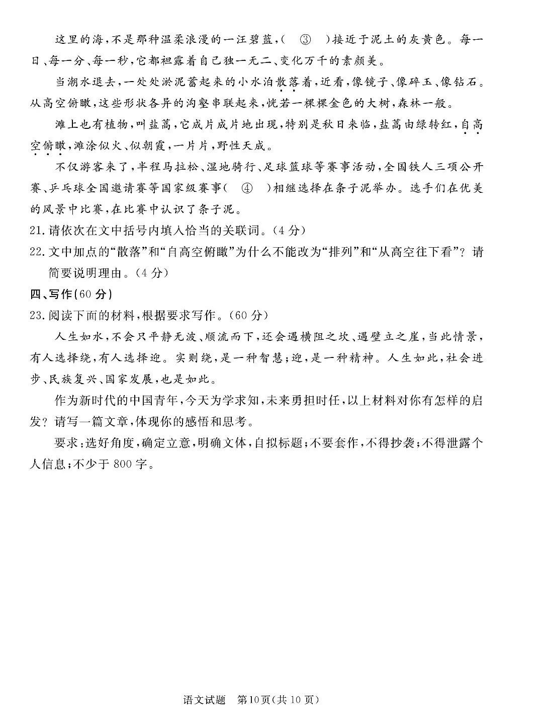 可爱洋葱头主题美化包