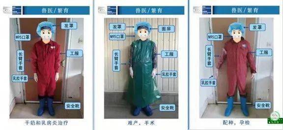 wiliamhillAPP2025新版棋子与羁绊展示