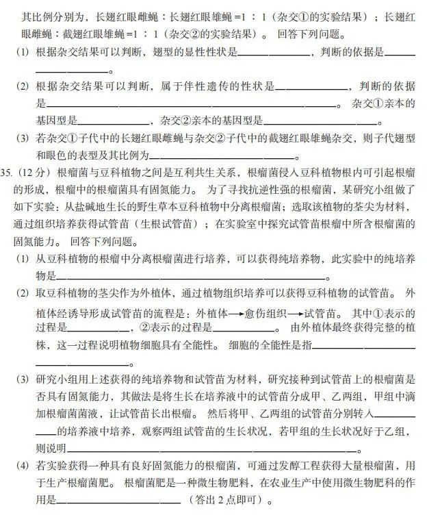 YAMEISPORT网页版V7.7专业版
