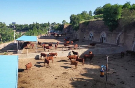 23468cmappV4.1专业版