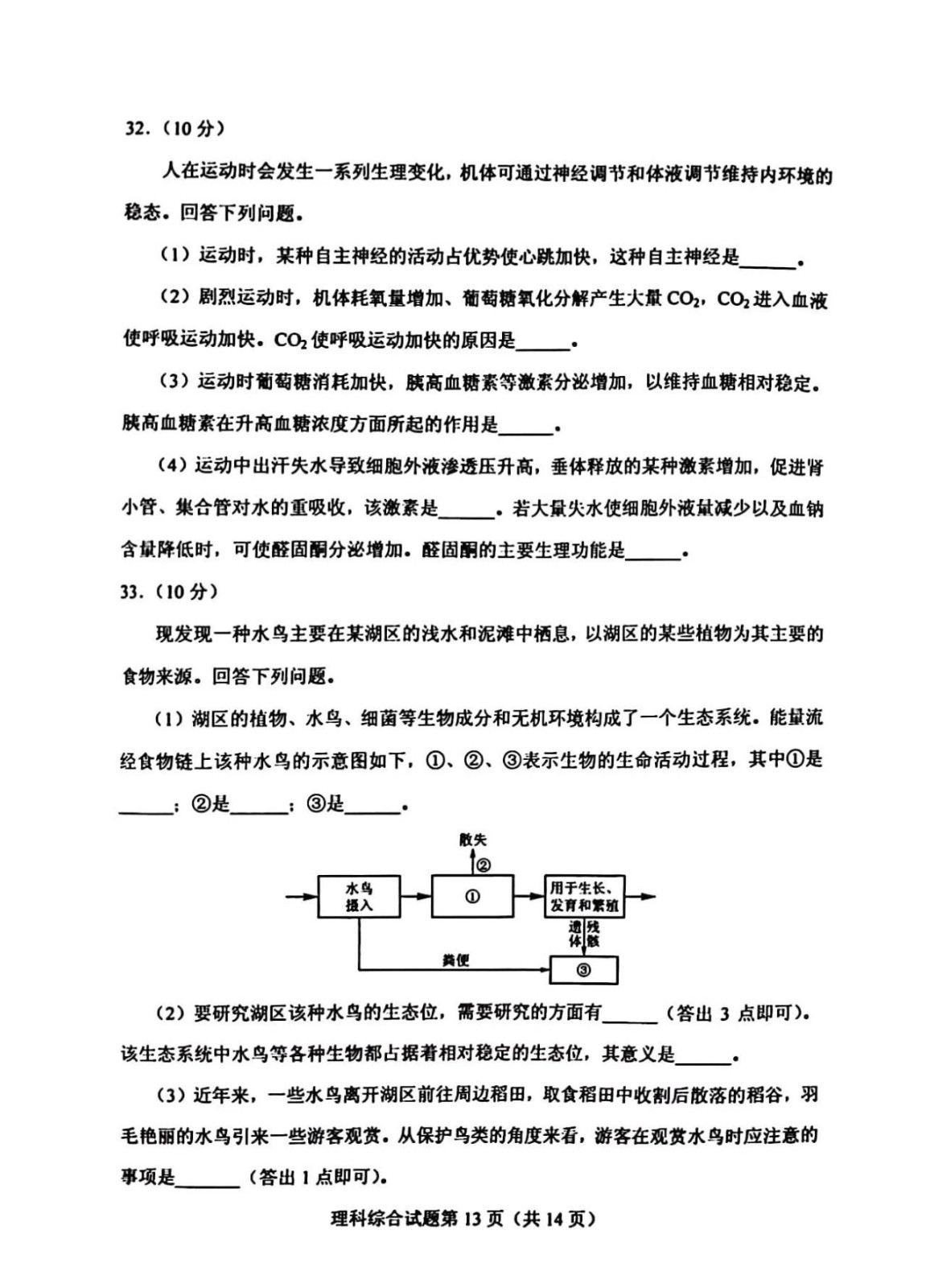 灵魂筹码段长发夜无眠套装外观展示