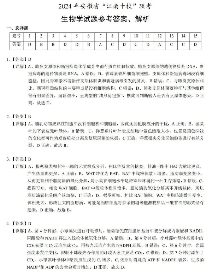 小熊洗车APP