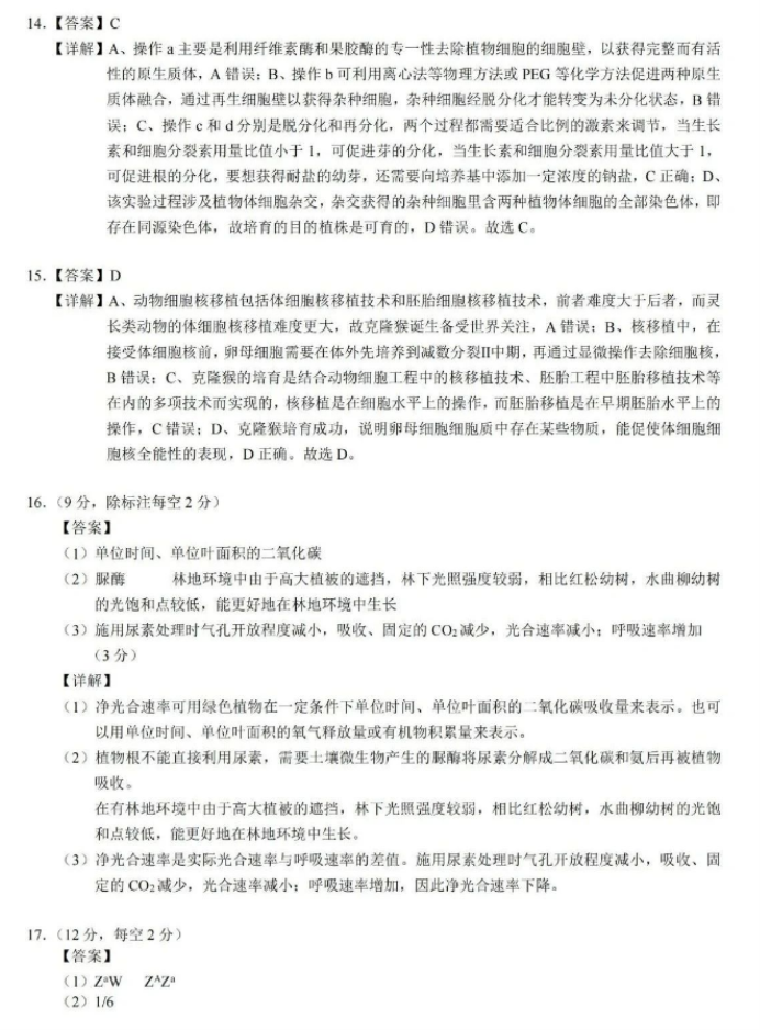 上古卷轴5SALA精剪新发型MOD