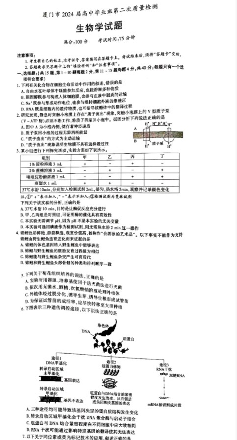 小熊洗车APP