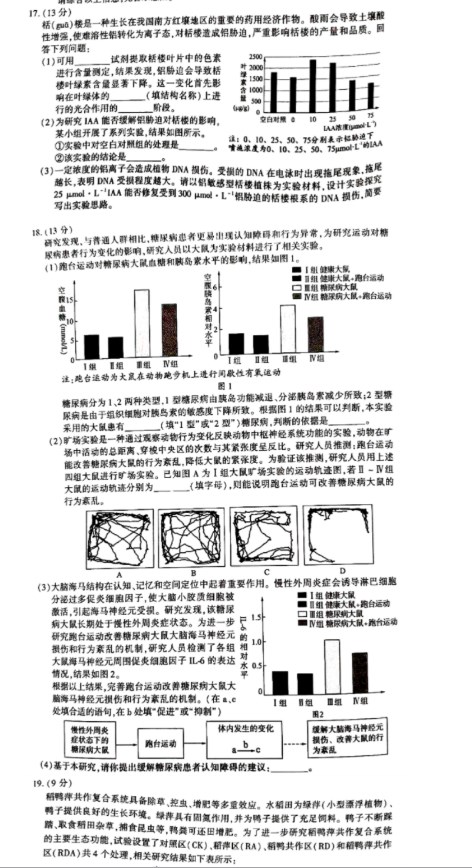 买球的APPappV3.1专业版