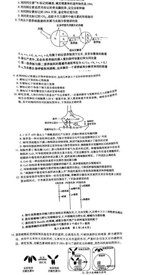 eman安卓版