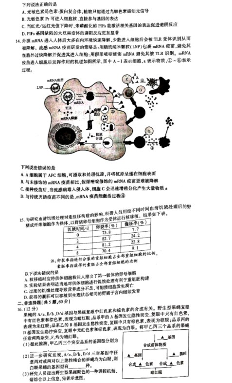 贵州药材APP