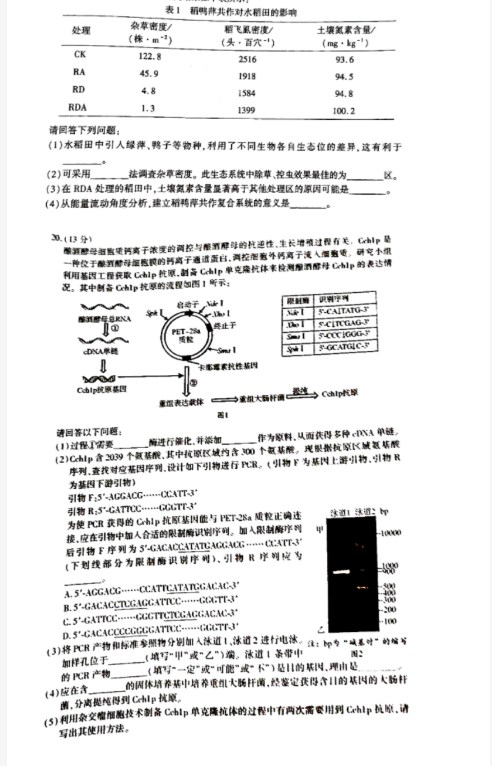 360手机浏览器苹果版本