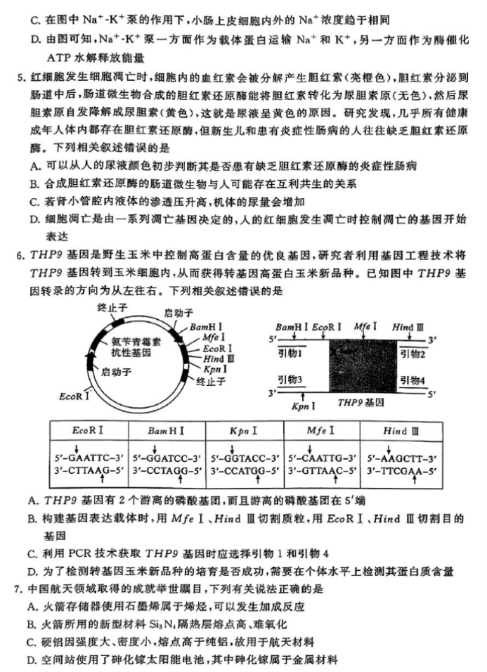 CSV文件查看精灵(CSV Viewer)