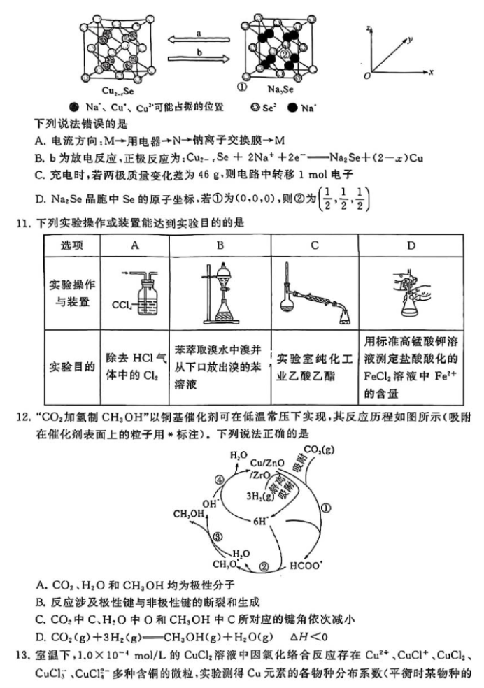 赛酷体育入口2025最新版游戏世界观场景