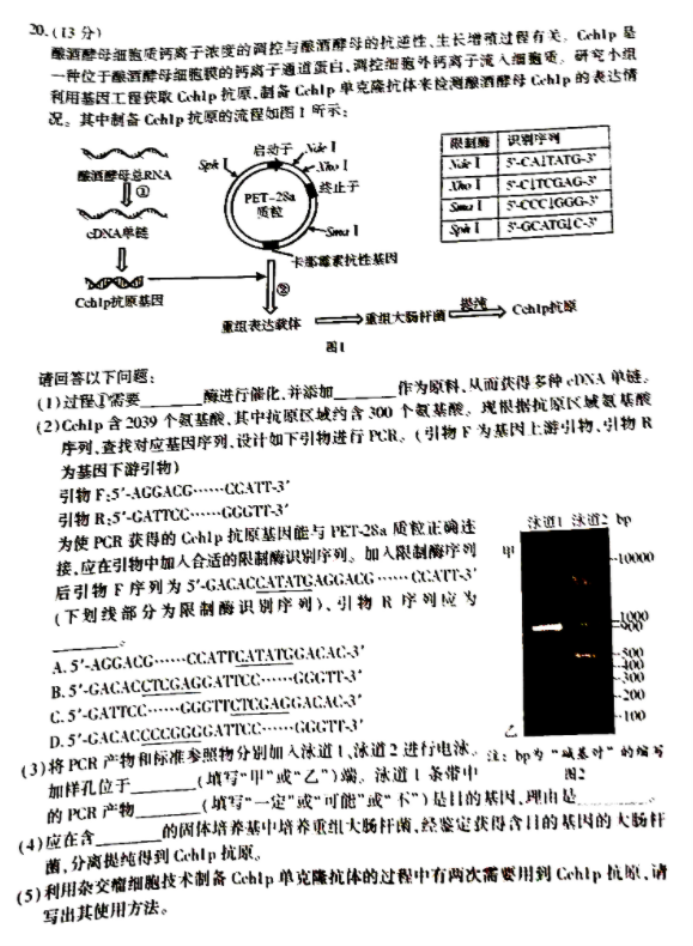 涂鸦切割