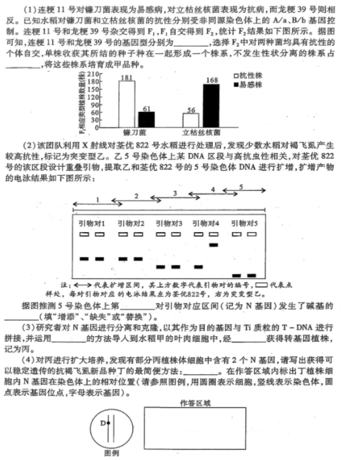 西部证券大智慧(含金鼎智赢交易平台)