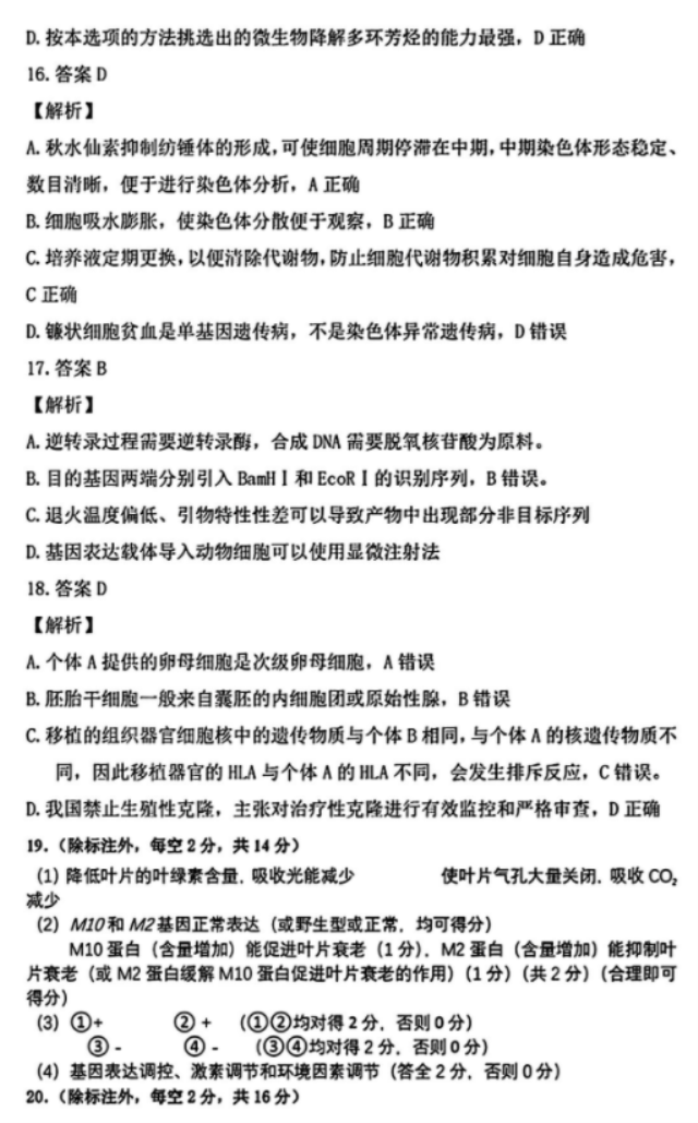 优酷视频最新版2024