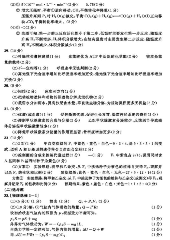 想de美