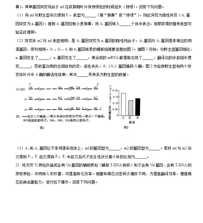开云在线官方入口V3.1专业版