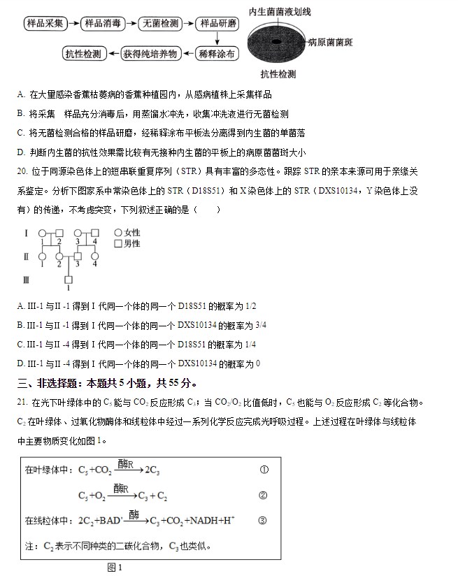 赢8娱乐官网2025版领地建设界面