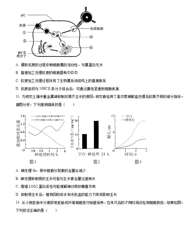 BODappV4.6专业版
