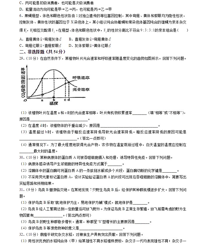 2028体育app2025最新版特工集结场景